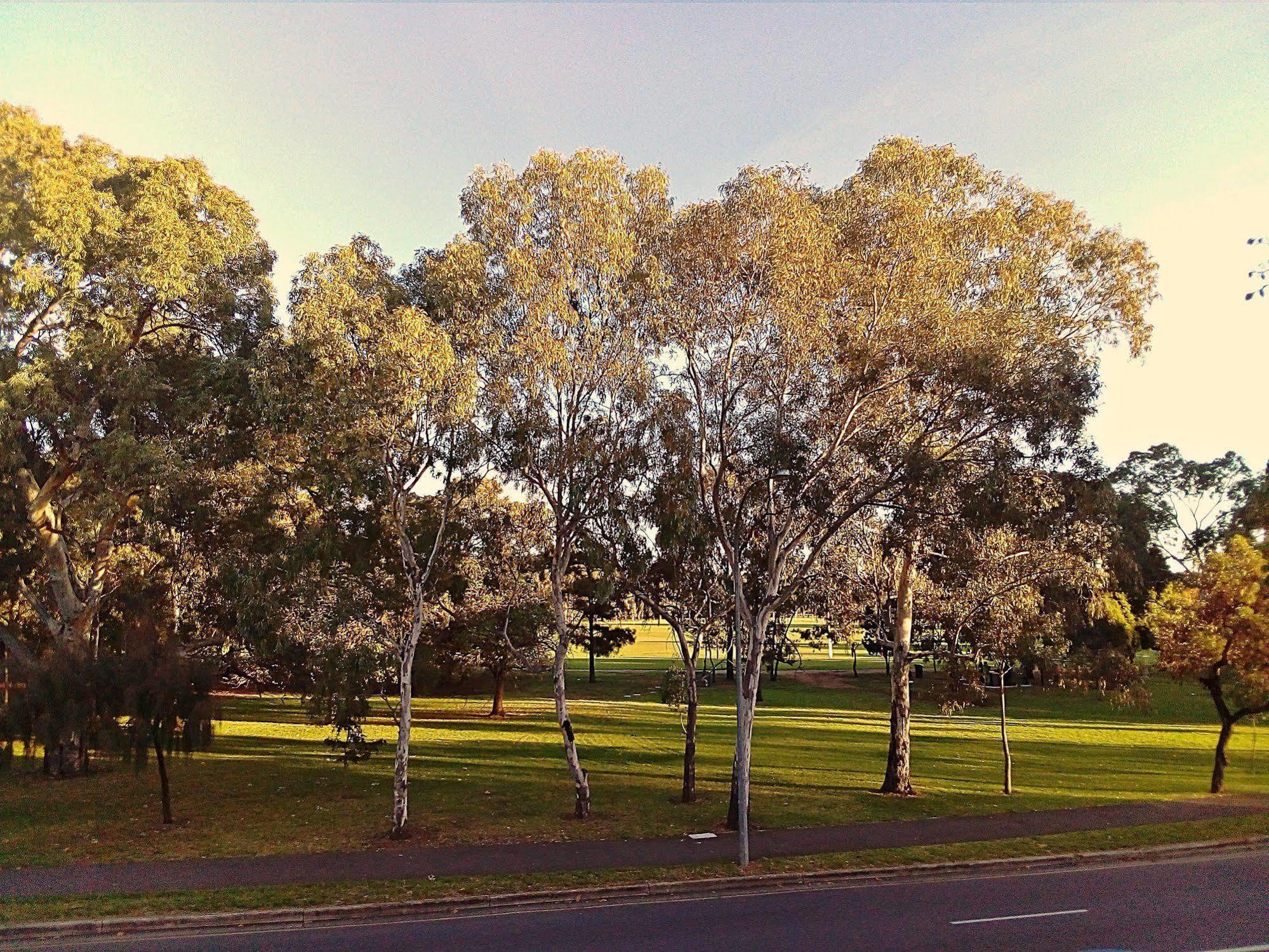 Adelaide's Park 3* Adelaide