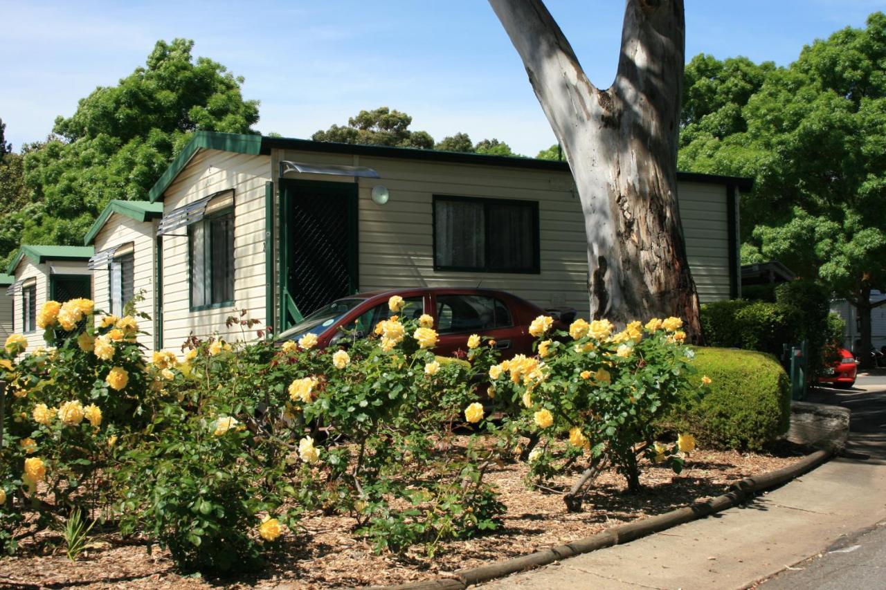 Levi Adelaide Holiday Park Adelaide