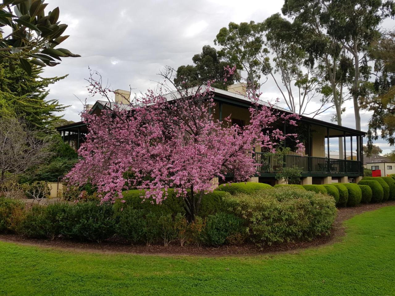 Levi Adelaide Holiday Park 4* Adelaide