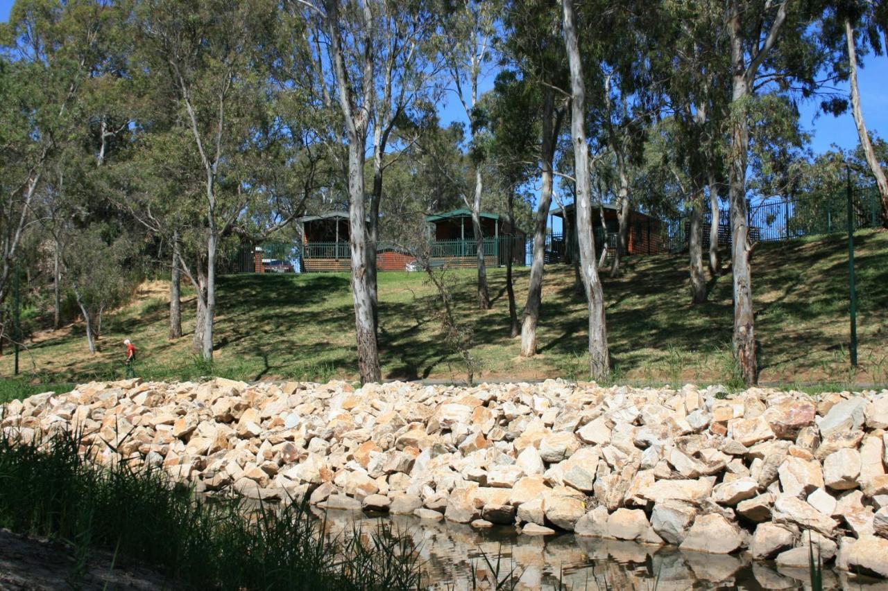 Levi Adelaide Holiday Park