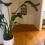 Botanic Bliss In Magill