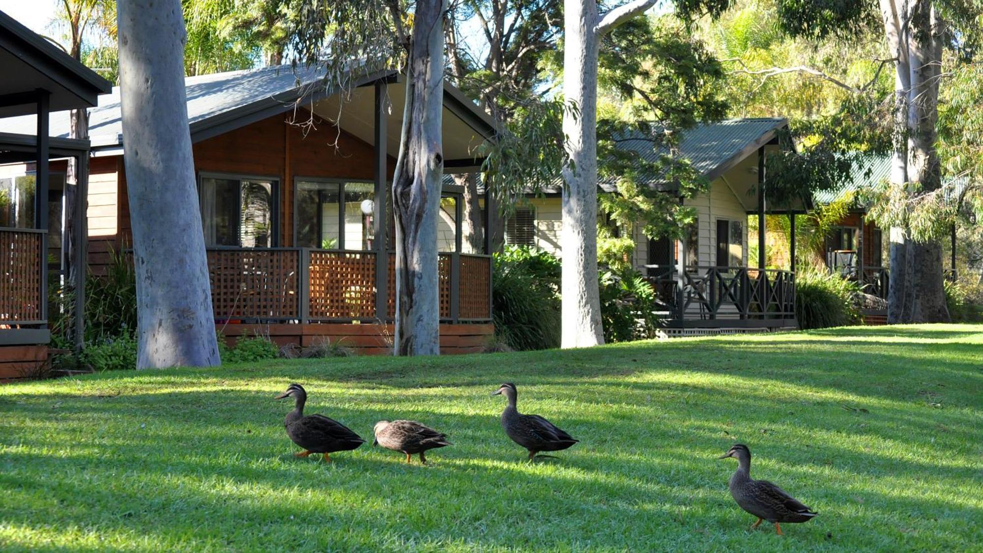 Marion Holiday park 4*
