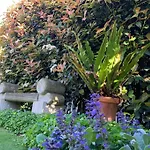 Botanic Bliss Bungalow