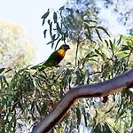 \'Kingston Mews\' A Perfect Parkside Sanctuary