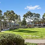 Swainson At Bowden Seven