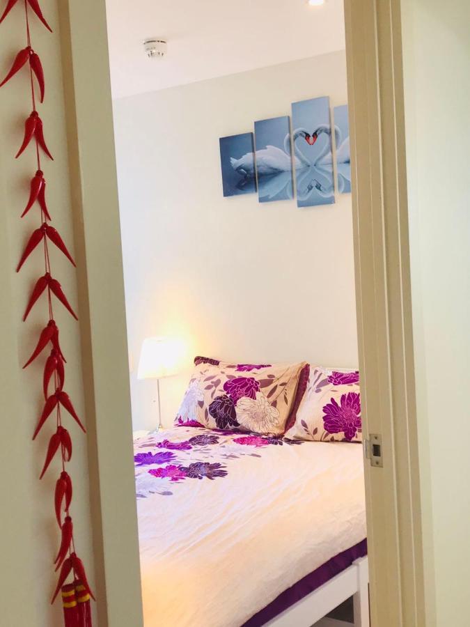 Cbd 1 Bedroom Apt. Free Car Park&swimming Pool &wifi Apartment Adelaide