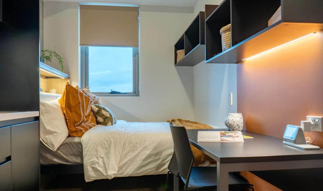 Comfy At Switch Living In The Centre Of *