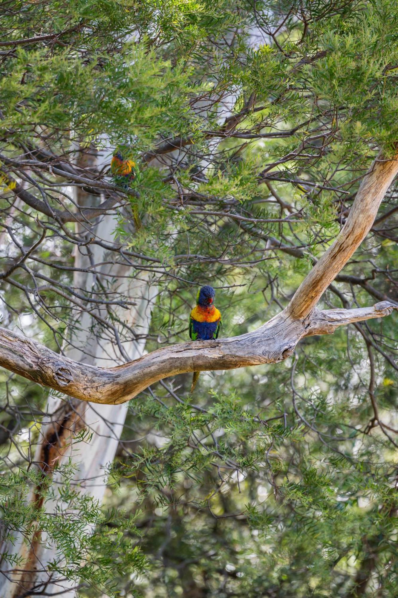 Parvatii-perfect Escape-15 Mins To & Wineries * Adelaide