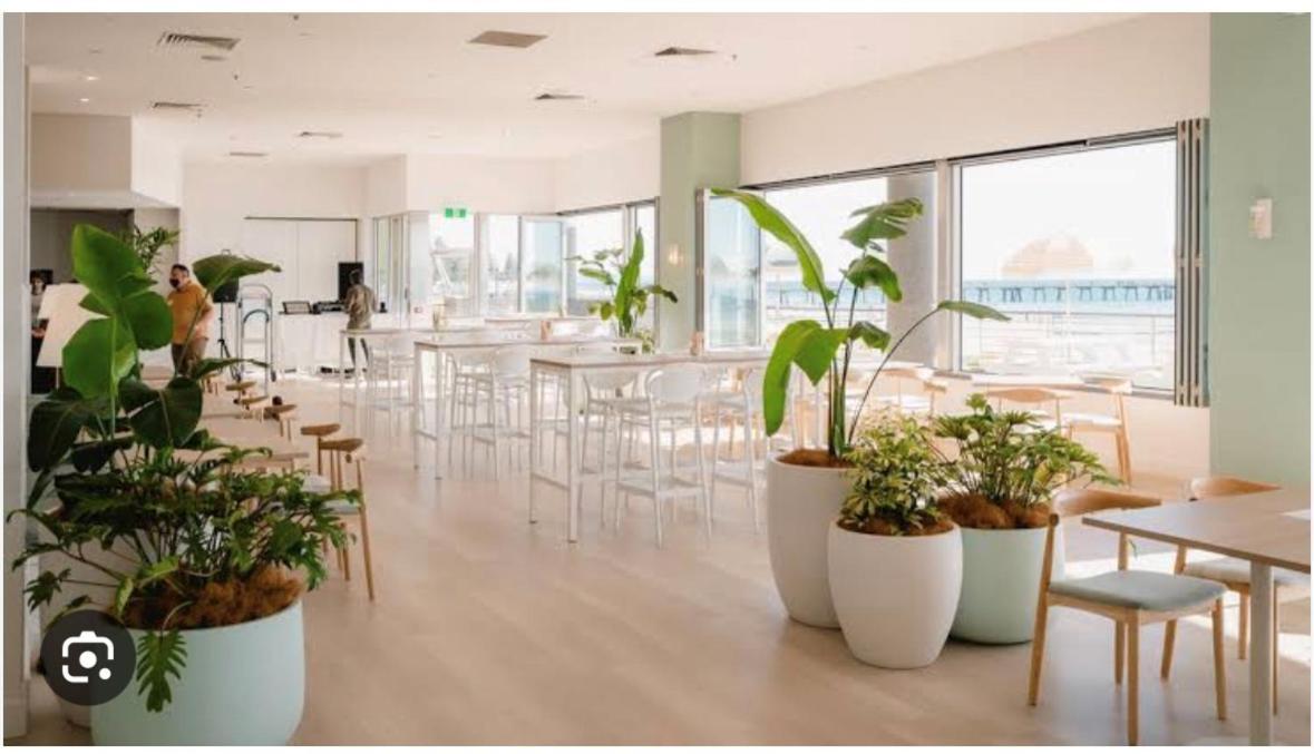 Absolute Beachfront At The Pier Glenelg
