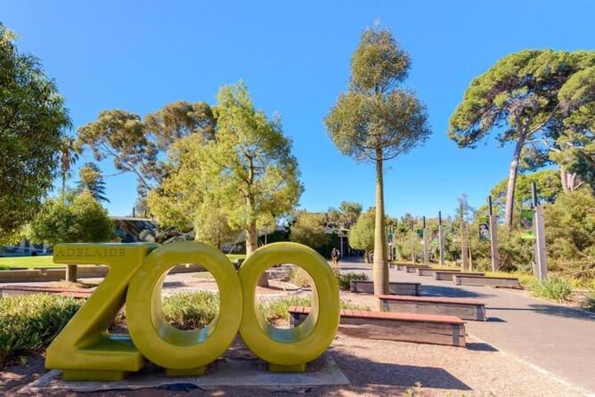 Family Friendly Cbd 3br Hurtle Square Apartment