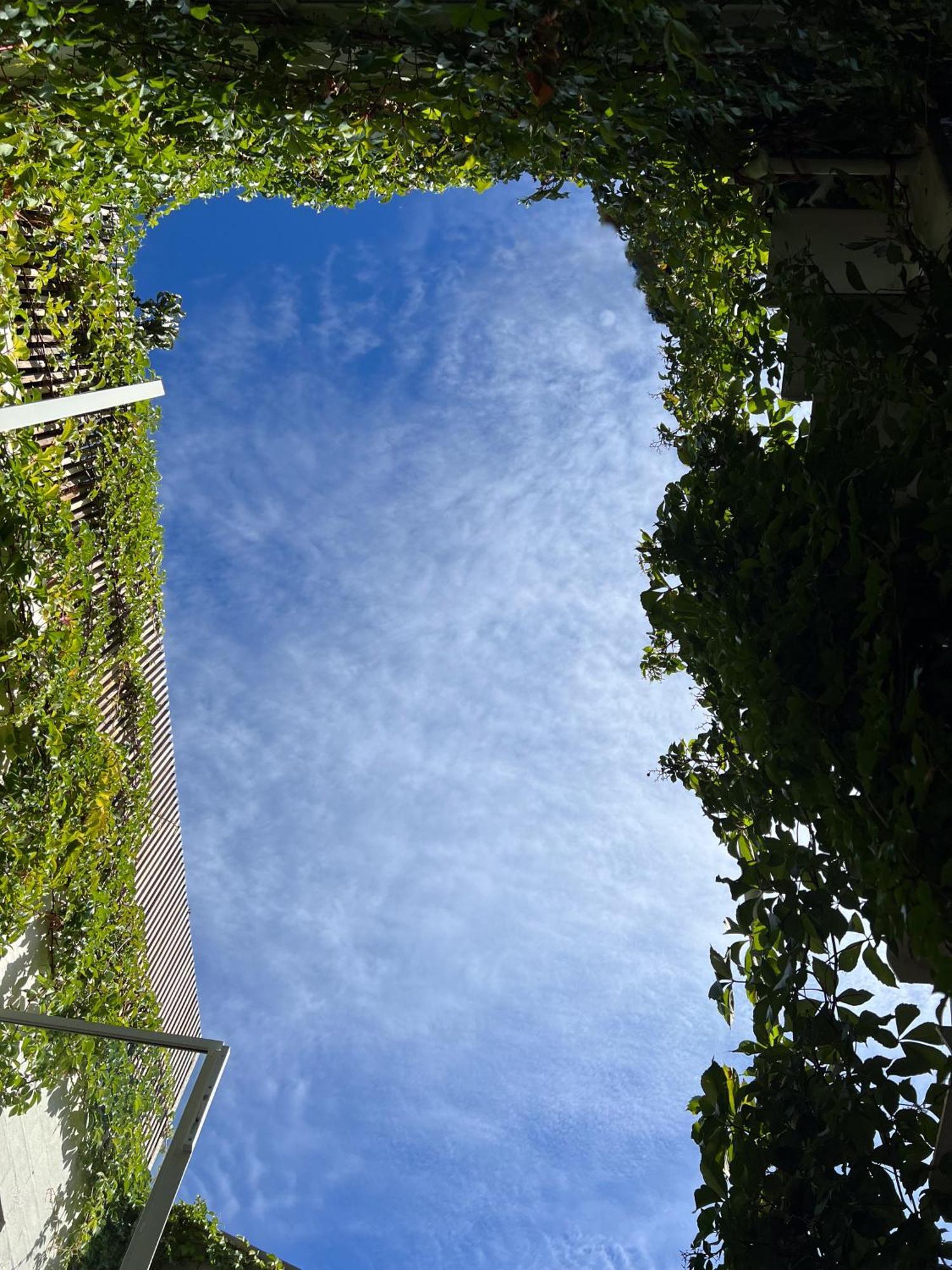 George - Luxe With Private Rooftop Holiday home *