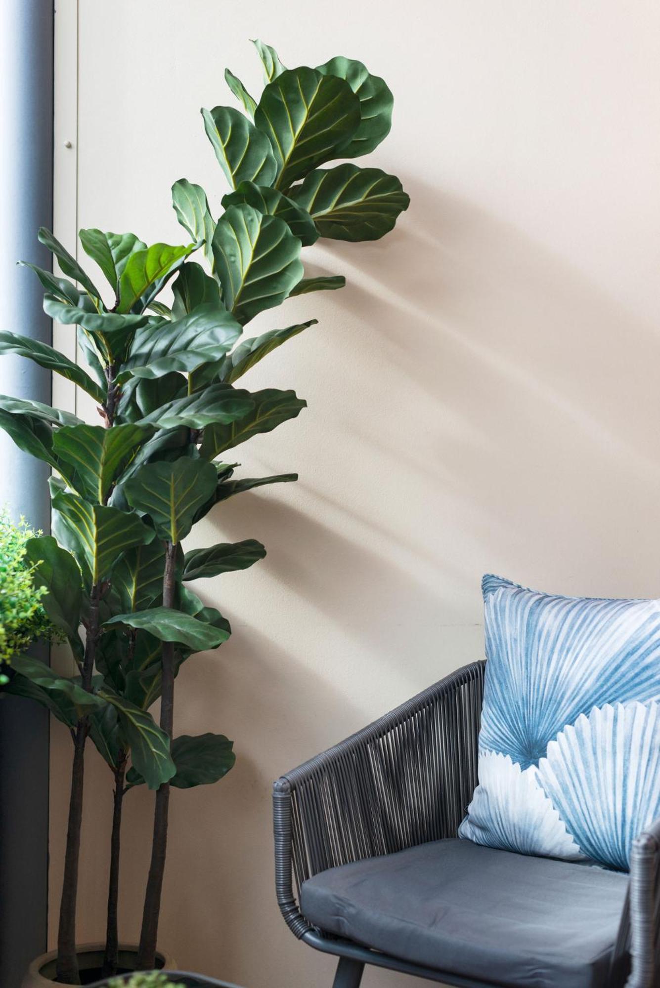 Apartment Stylish Urban Retreat On Eden