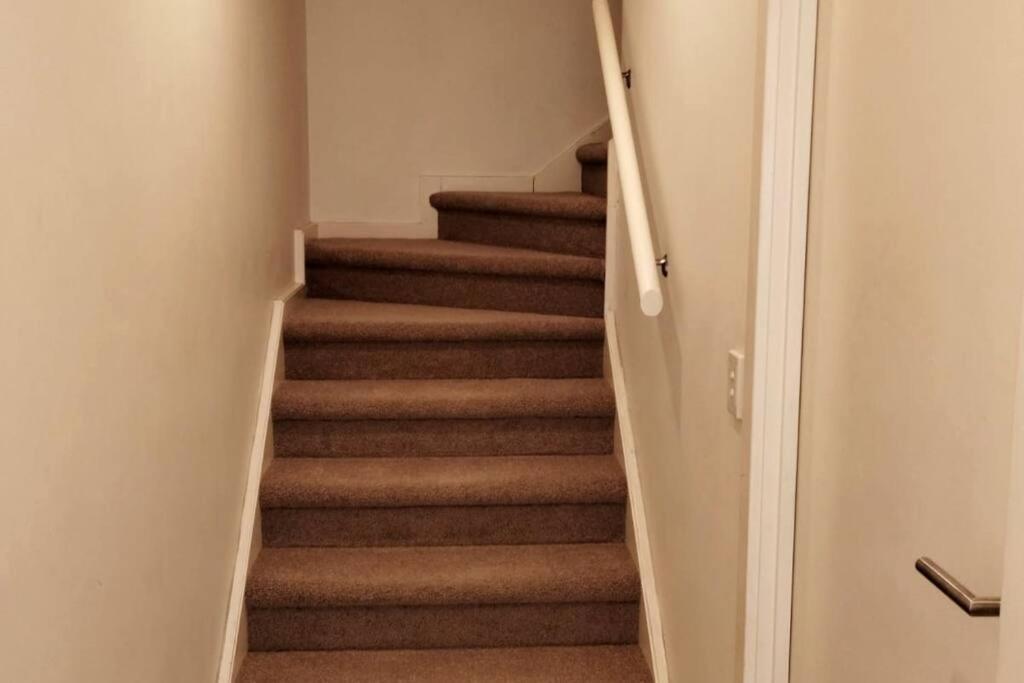 Unique Lvl 1 Morphett *