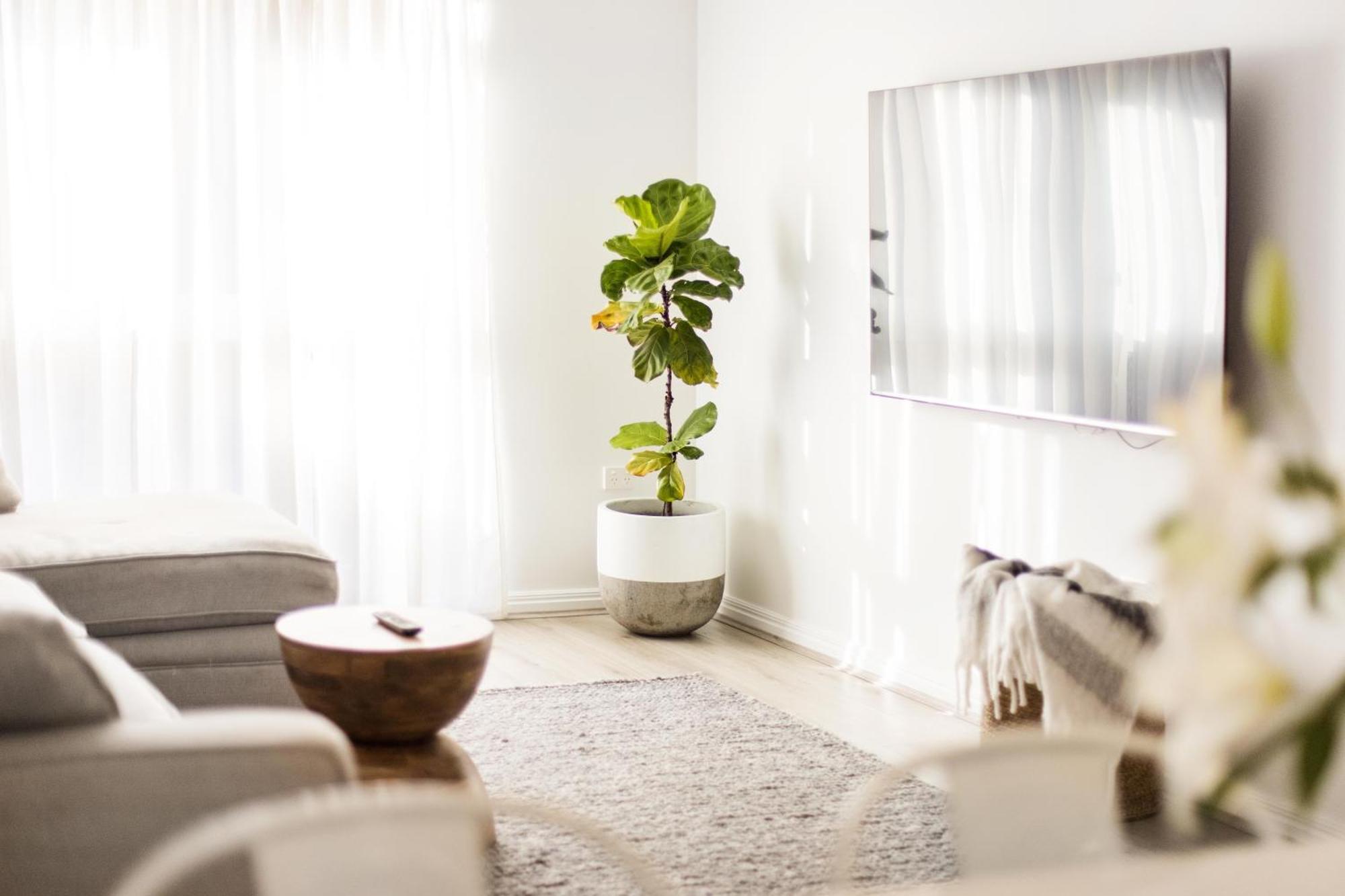 Modern & Convenient Family With Ample Amenities