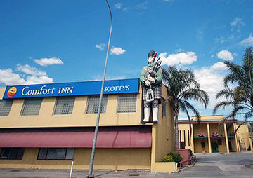Motel Scotty's