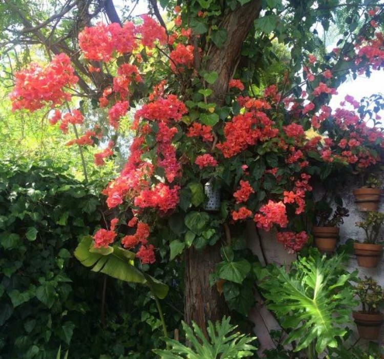 Jerningham Street Bed & Breakfast Adelaide