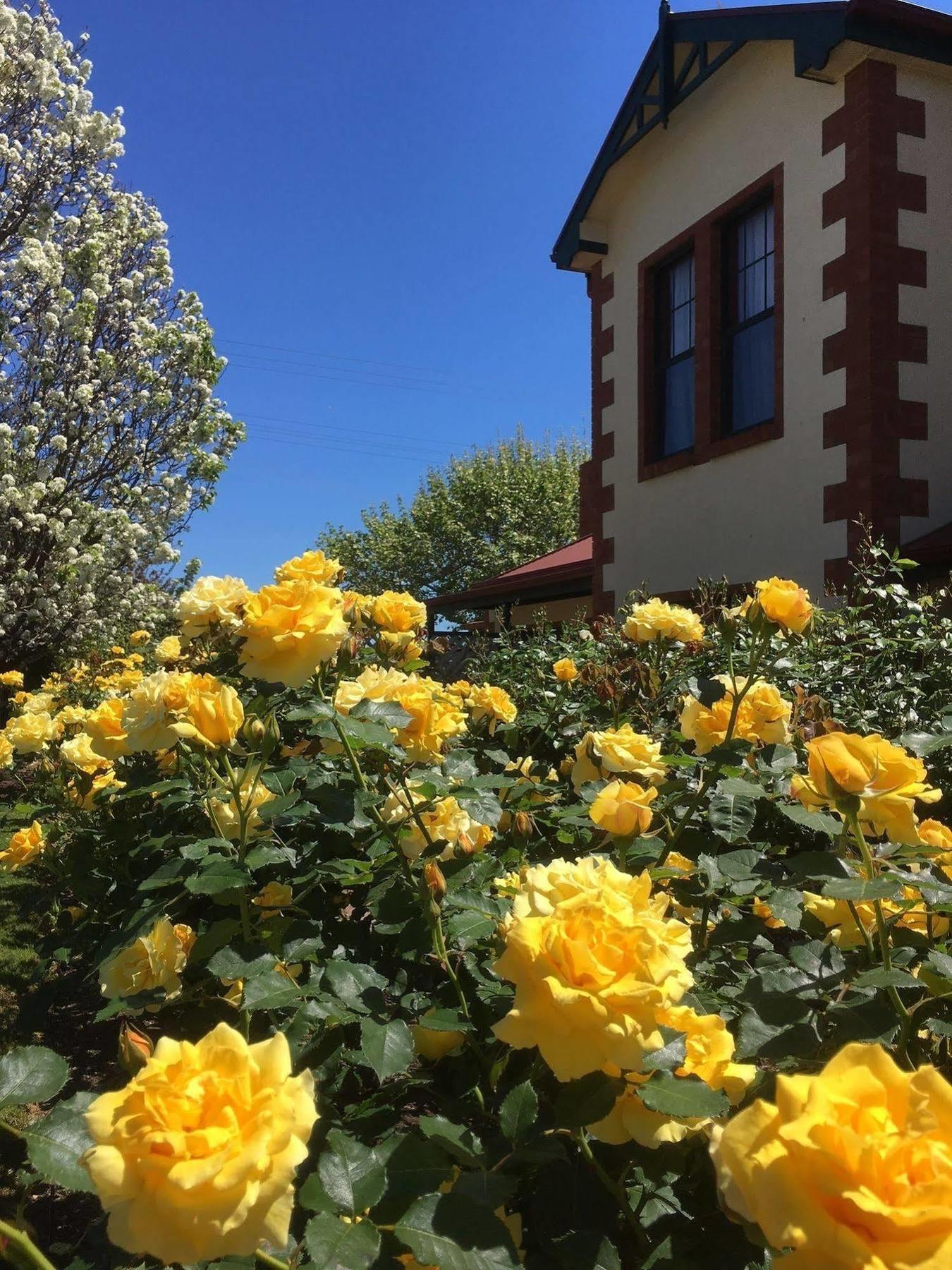 Wine And Roses Adelaide