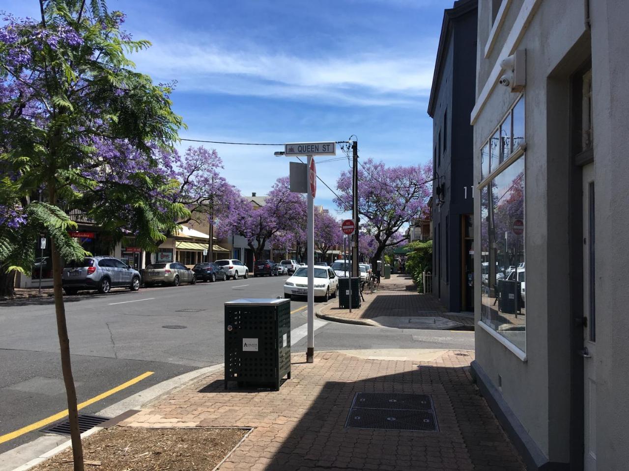 Albergue Shingo's Backpackers Adelaide