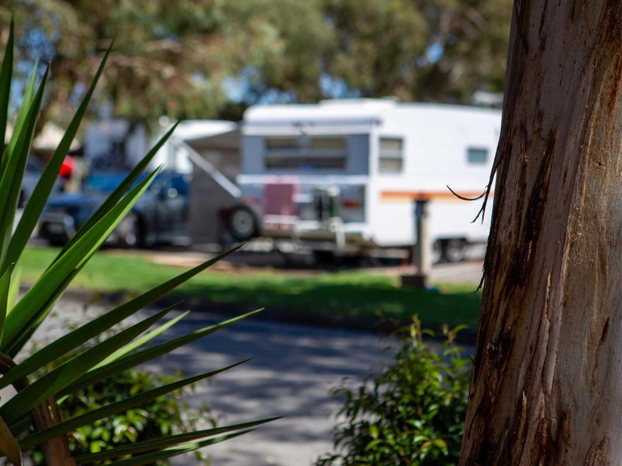Echo Holiday Parks - Windsor Gardens