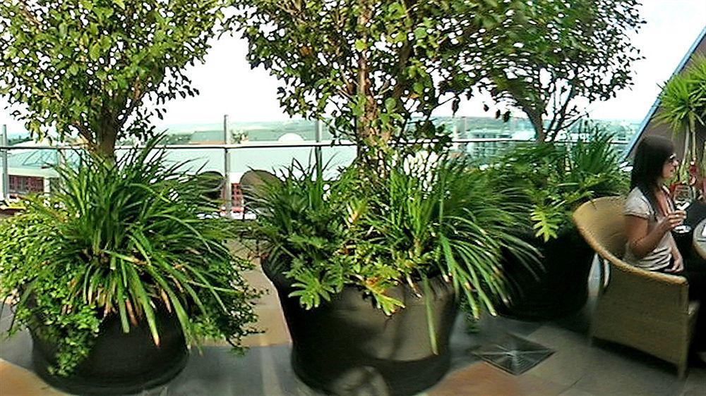 Majestic Roof Garden 4* Adelaide