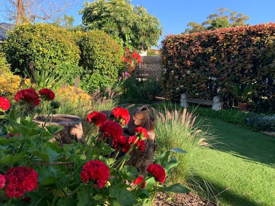 Botanic Bliss *