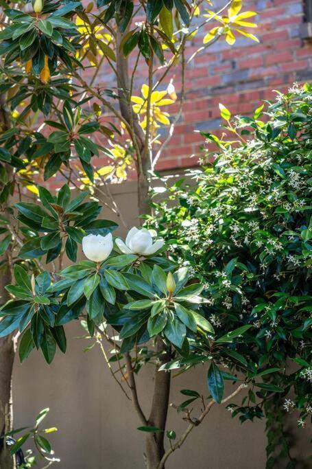 Petal And Bloom - 3br Family Cbd Apartment Adelaide