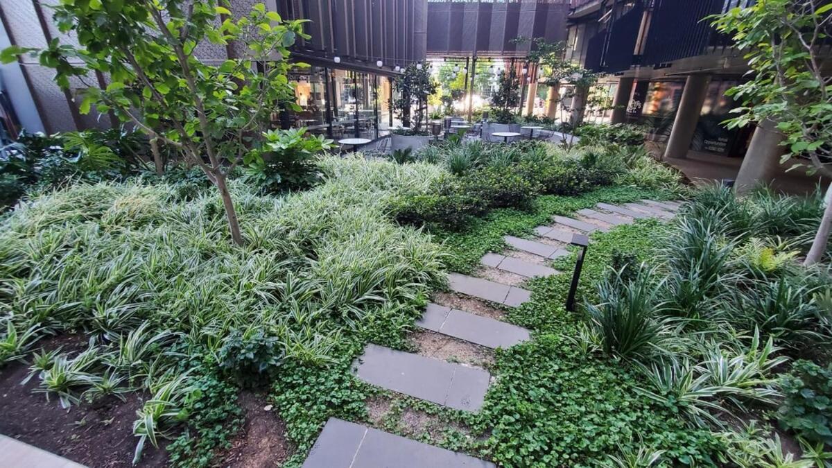 Zen Vibe, Entire Apt, With Study Room, Wifi, Central, Cafe Apartamento Adelaide