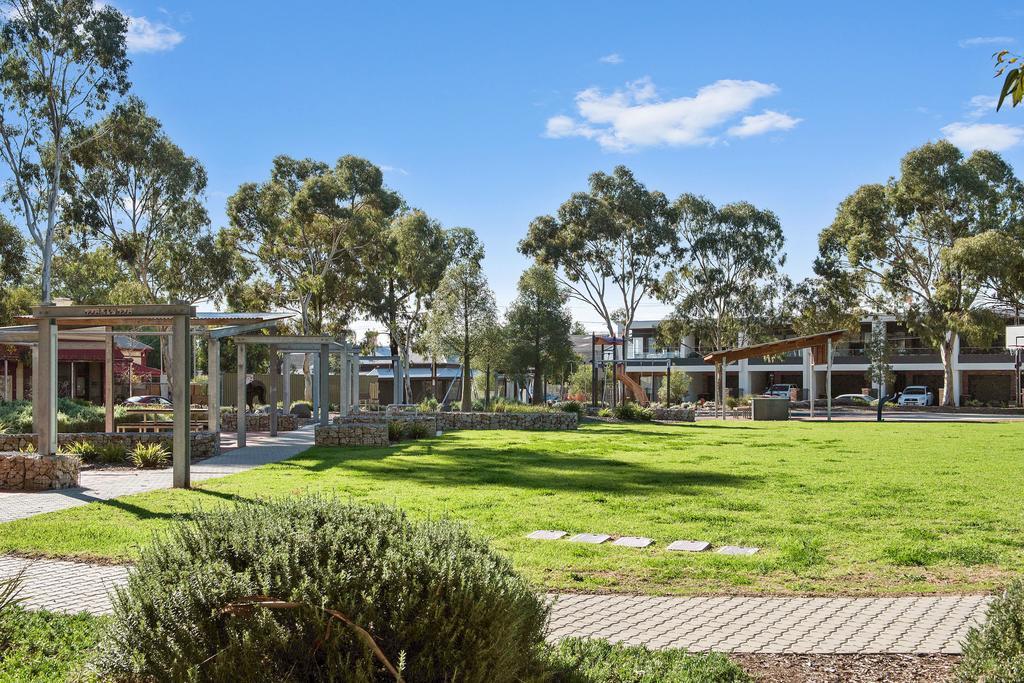 Swainson At Bowden Seven *