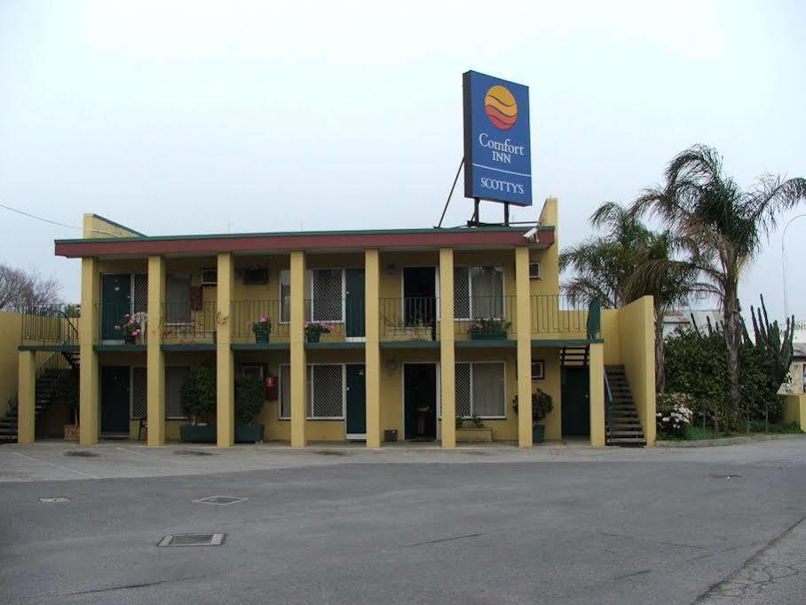 Scotty's Motel 3*