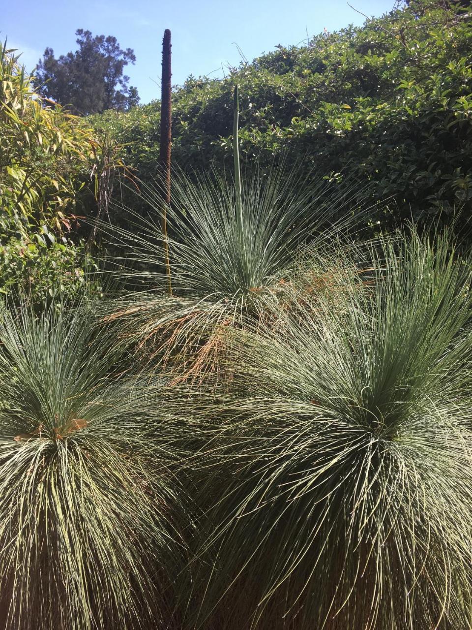 Style Accommodation-getaway In North Adelaide- Close To * Adelaide