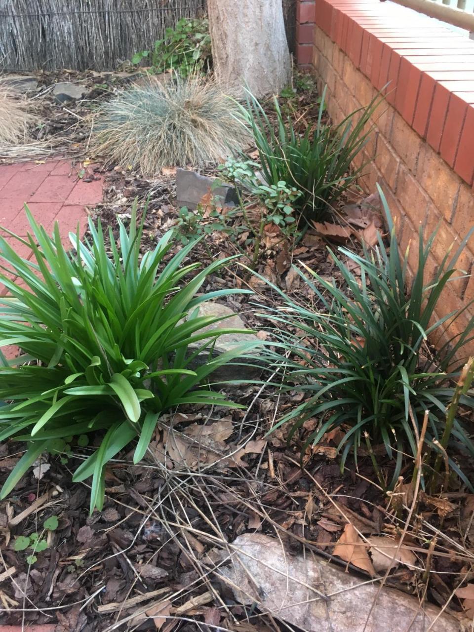 Apartment Style Accommodation-getaway In North Adelaide- Close To Adelaide